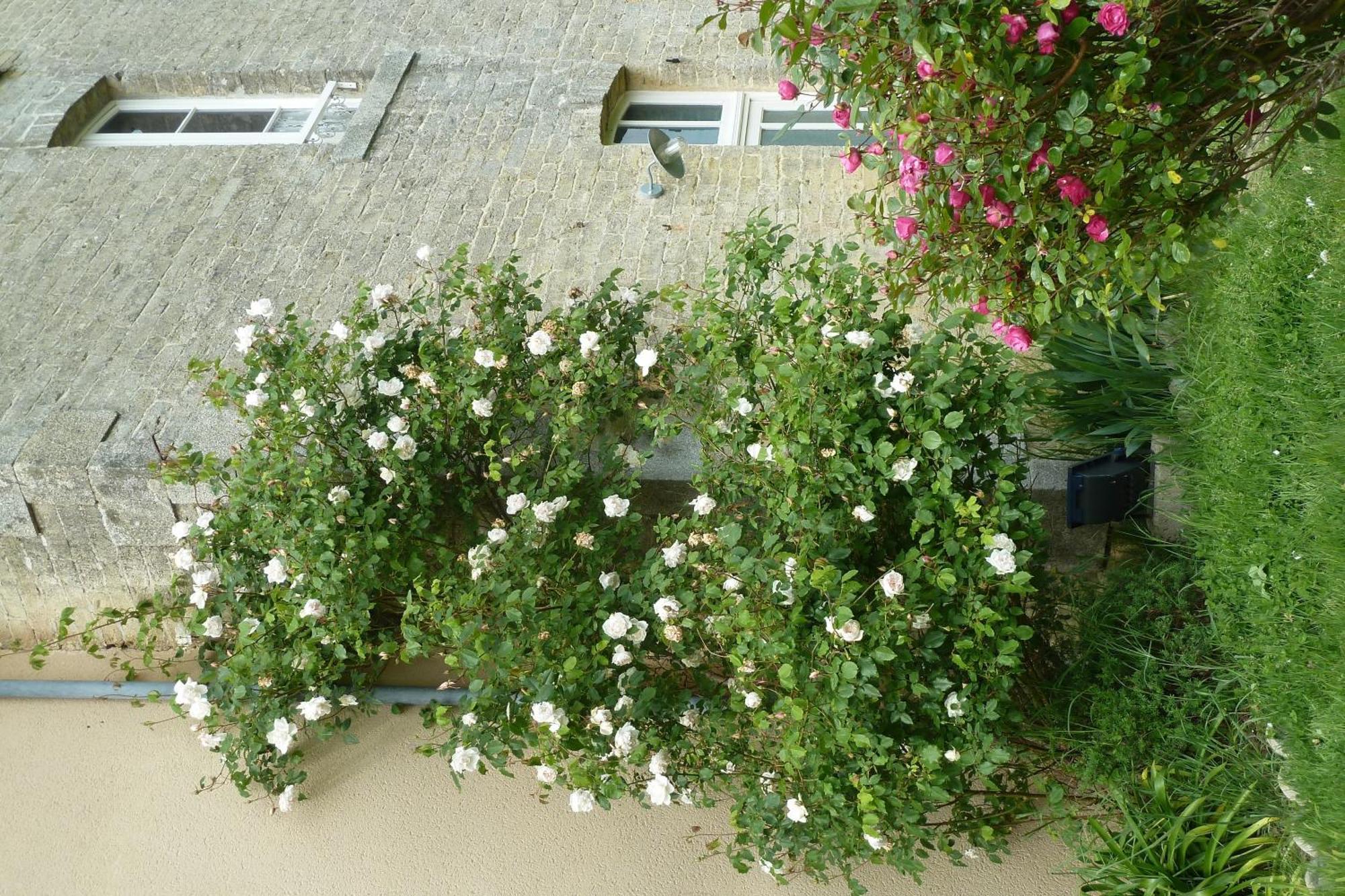 B&B L'Atelier Du Presbytere Saint-Maugan Exteriér fotografie